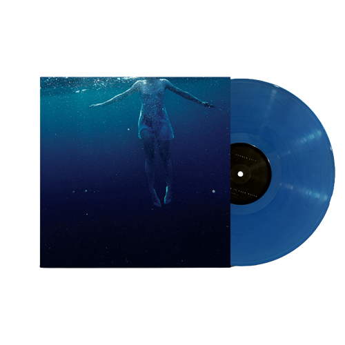 VINYL The Shark in Your Water 1