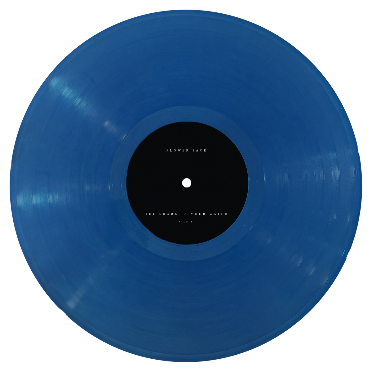 VINYL The Shark in Your Water 2